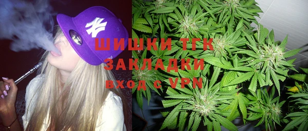 трава Новодвинск