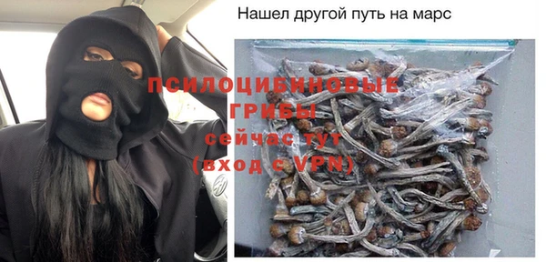 мет Алексин
