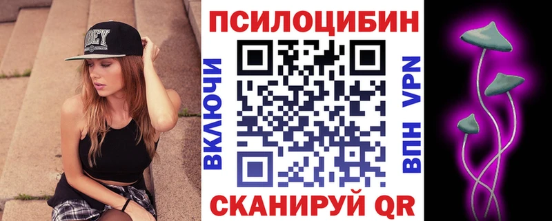 Галлюциногенные грибы Psilocybe  Аргун 